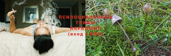 mdpv Белая Калитва