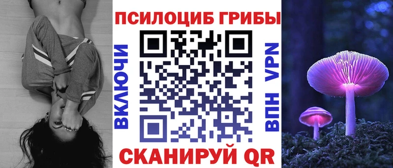 Псилоцибиновые грибы прущие грибы  Нахабино 