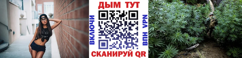 Каннабис THC 21%  закладка  Нахабино 